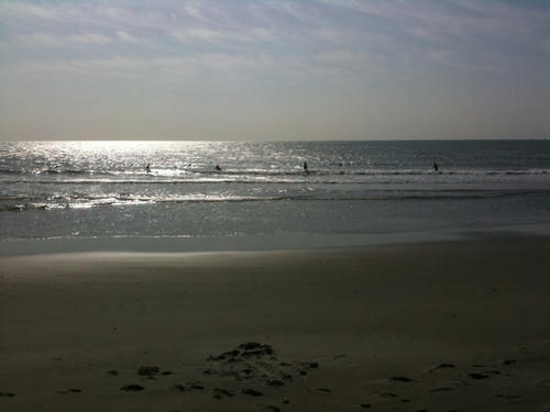 IMG_1034.jpg