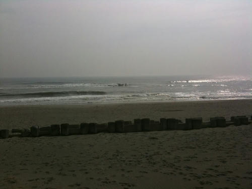 IMG_2005.jpg