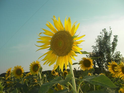 SANY0054.jpg