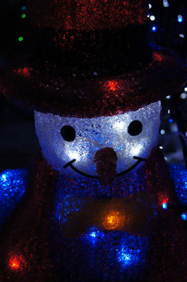 DSC00135.jpg