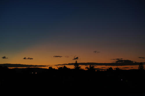DSC02672.jpg