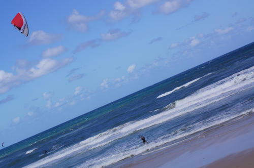 DSC02680.jpg