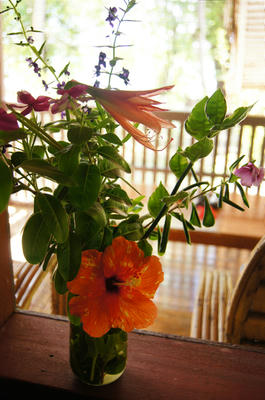 DSC03373.jpg