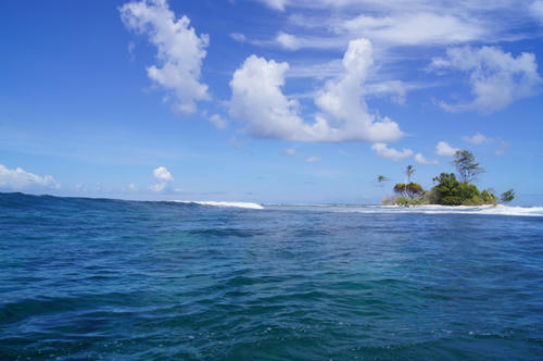 DSC03382.jpg