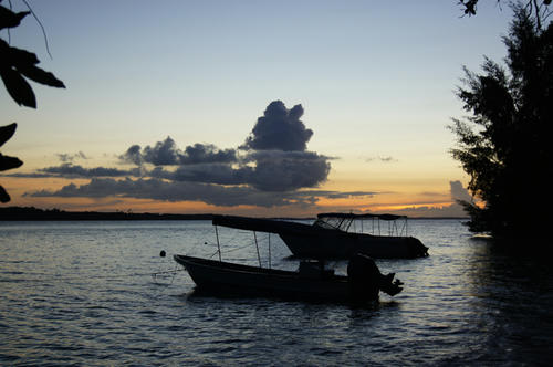 DSC03385.jpg