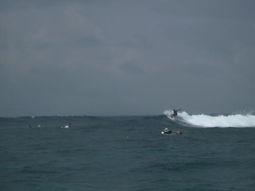 IMG_2537.jpg