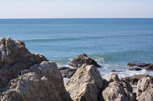 DSC03785.jpg