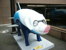 seattle5.jpg