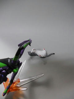 eva04.jpg