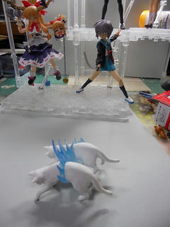 DSCN0352.JPG