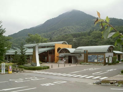 どうし