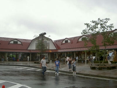 朝霧高原