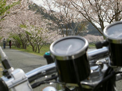 カメラ練習中