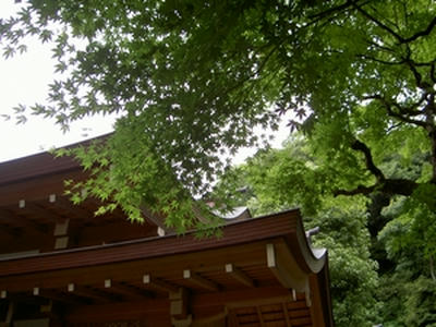 落ち着く風情
