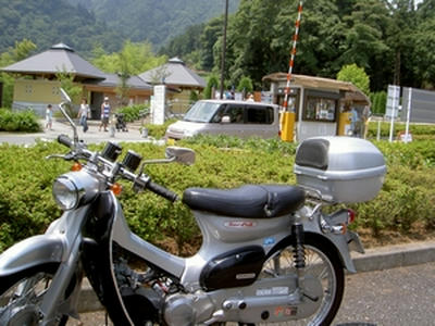 お仕事熱心だなぁ