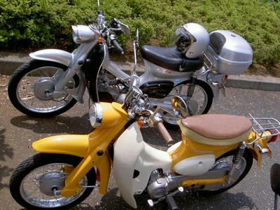 珍しいカブ