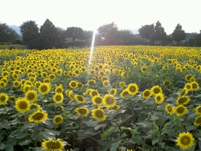 20080814