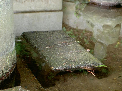 20080822