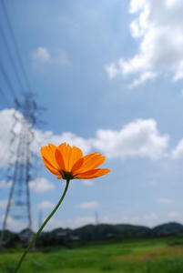 20080902