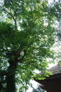 20080917