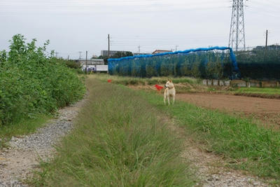 20080928