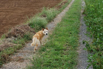 20080928