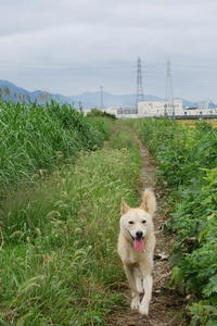 20080928