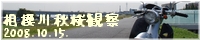20081019