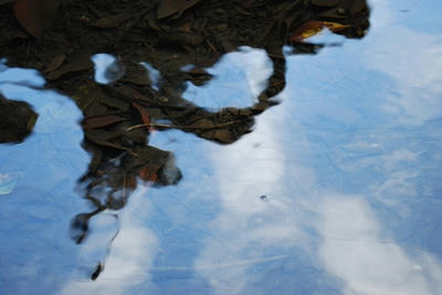 20081019