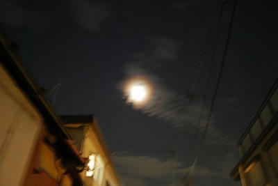 20081108