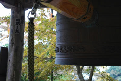 20081115