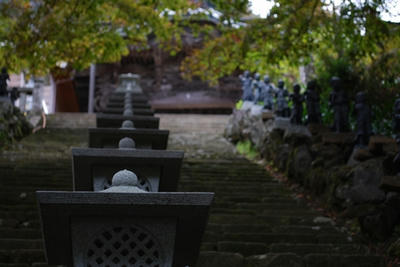 20081115