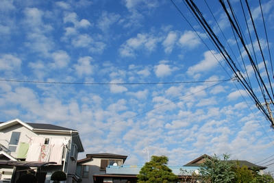 2008111506.jpg