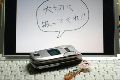 20081129