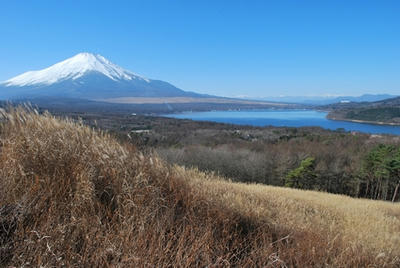 20081203