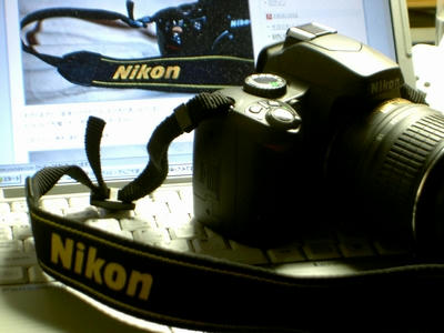 20081231