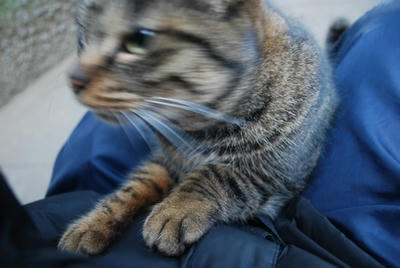 20090115
