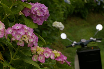 20100626