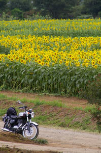 20100725
