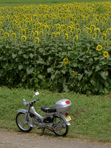 20100801