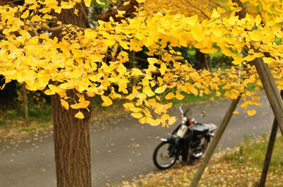 20101114