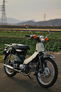 20101230