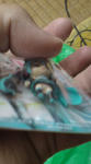 DSC00022.JPG