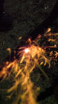 DSC00028.JPG