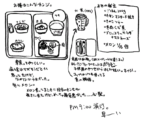 ごはんのようす
