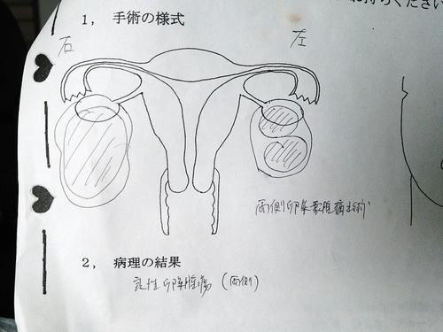 先生、字が