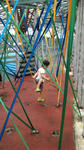 f279d066.jpg