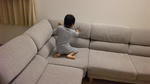 79455ffc.jpg
