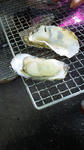 34ec7982.jpg