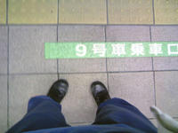 3_211825.jpg